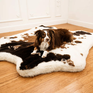 a border collie laying on a fluffy dog bed with cowhide print  on the wooden floor 