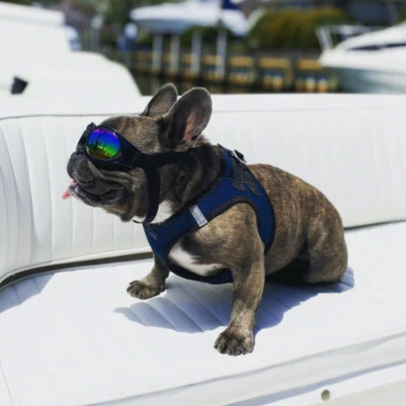 k9 dog goggles K9 Sport, Shades Dog Goggles