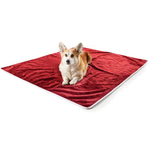 A corgi laying on top of a red velvet waterproof dog blanket 