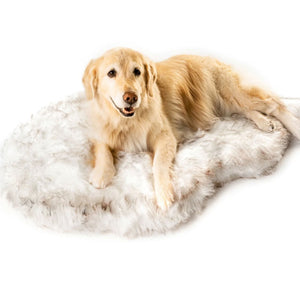 A golden retriever laying on a furry curved white with brown accent dog bed 