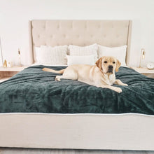 A labrador retriever on top of a white bed and white pillows laying on a green velvet waterproof dog blanket 