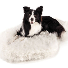 A border collie laying on a polar white curved dog bed 