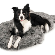 A border collie on the floor laying on a furry charcoal grey colored dog bed 
