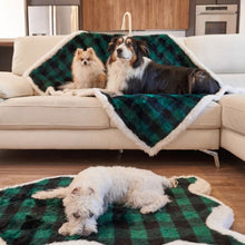 A Pomeranian and Australian Shepperd sharing a green and balck waterproof dog blanket on the white couch and a terrier on the floor laying on a green and black checkered pattern waterproof dog blanket on the floor 