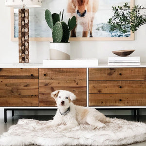 A white siberian husky laying on a furry white with brown accent dog bed in front of a wooden drawer with a modern lamp, a cactus plant and a bowl on it and a horse painting on the wall