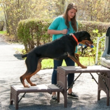 A lady assisting her rottweiler get on the car through a foldable stair outdoors