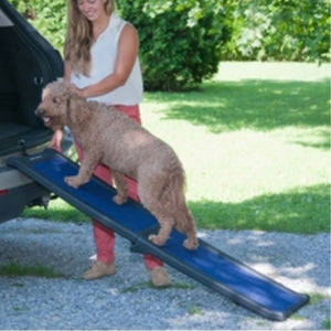 a lady assisting her dog getting on the car through a Pet Gear Travel Lite Bi-Fold Full Ramp