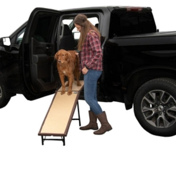 a lady guiding her dog get off the black truck through a standing dog ramp