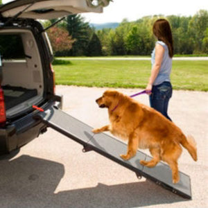 an image of a lady assisting her golden retriever  get on the car through a trifold dog ramp from the park