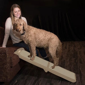 a woman sitting on a brown couch next to her dog standing on a petgear short bi-fold ramp  with black curtains in the background