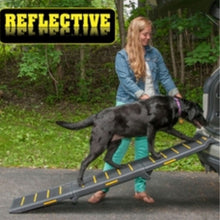 a lady in blue assisting a black labrador getting on the car through tri fold reflective dog ramp