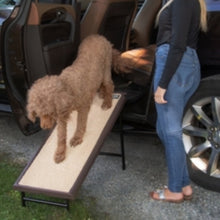 a toy poodle getting off the car through a standing pet ramp next to a lady in black standing next to a car 