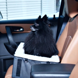 a black pomeranian on the leather car seat sitting on a booster car seat 