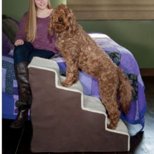 A furry brown dog standing on a four step dog stair next to a lady sitting in a blue bed 