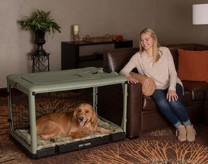 a happy woman sitting on a leather couch staring at her dog laying inside a sage colored steel dog crate and a flower pot on the background