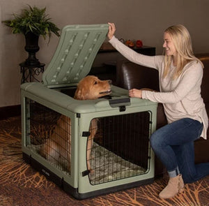 a happy woman playing with her dog inside a sage colored steel dog crate next to a leather couch and a pot of flower on the background