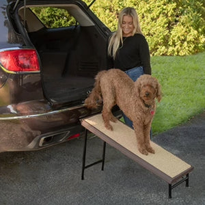 a toy poodle standing on a pet ramp next to a lady wearing black next to a black car outdoors
