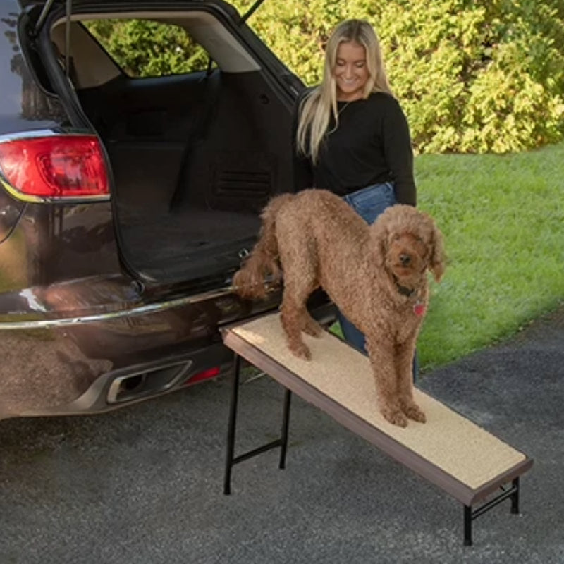 a toy poodle standing on a pet ramp next to a lady wearing black next to a black car outdoors