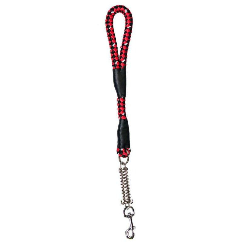 Petique Reflective Leash w/ Shock Absorber for Dogs, Cats, Small