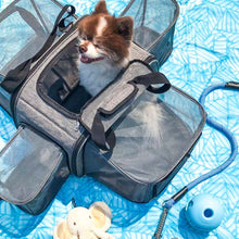 top view image of a happy dog inside a grey dog carrier/camper next to a blue leash and blue dog ball in a blue mattress