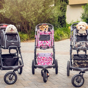 three cute dogs riding different colored dog carriers and stroller with the background of tall grasses and bush