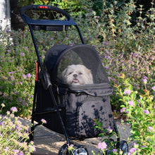 a cute dog inside a black stroller parked in the garden and surrounded with flowers 