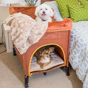two cute dogs inside a Brown Lounge Dog Bed, Lion's Den next to a white bed and green pillows 