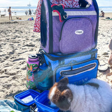a puppy on the beach drinking on a blue portable do bowl next to lavender and blue dog carrier