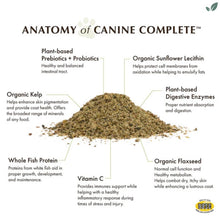 Anatomy of the Canine Complete Multivitamins