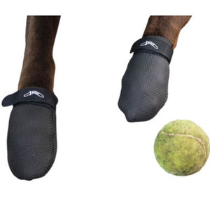 a close up image of a dog's paw wearing a pair of Walkabout JAWZ Traction Booties next to a tennis ball 