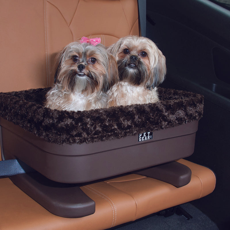 Two shih-tzu in a leather car seat inside a chocolate colored dog bucket