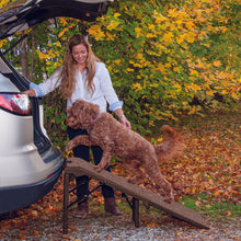 a lady assisting her golden doodle getting on the car through a chocolate colored dog ramp