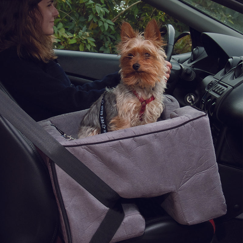 Pet gear shop large car booster