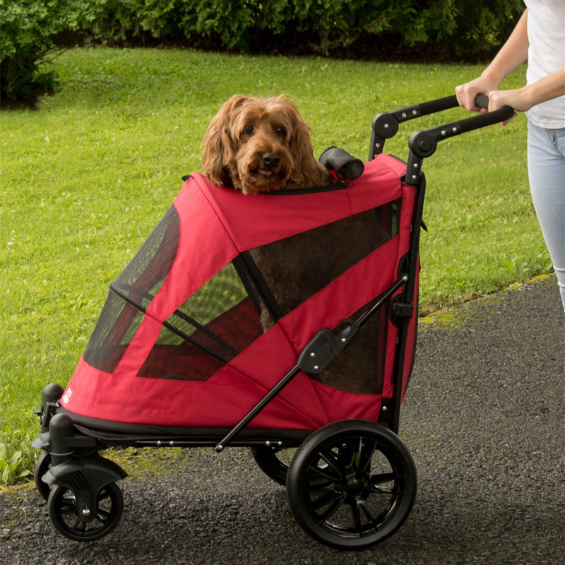 a woman walking her fluffy dog inside a candy red dog stroller on the park