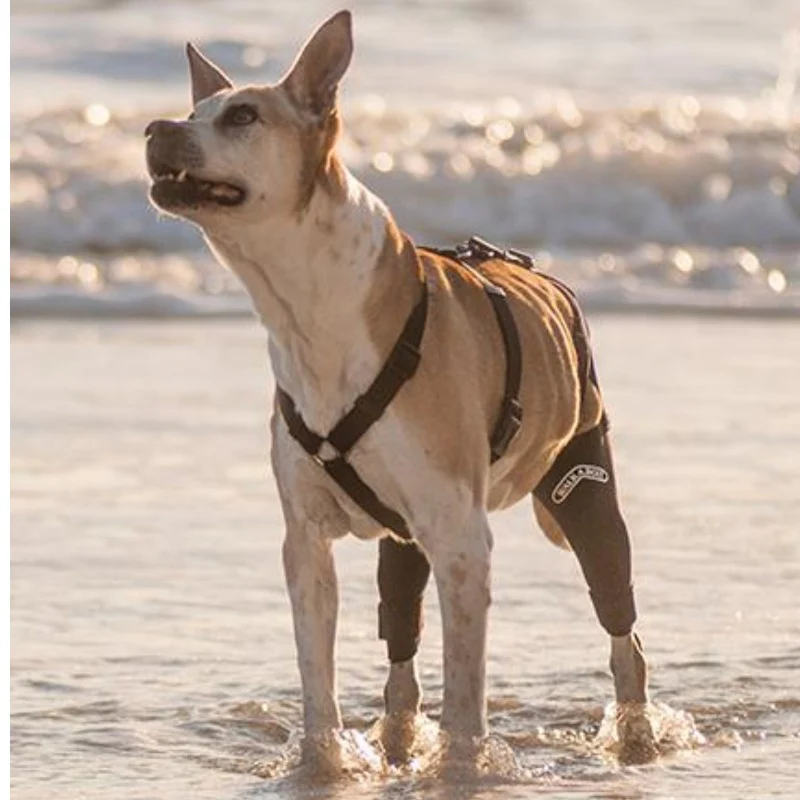 Walkabout, Double Knee Brace Questions & Answers
