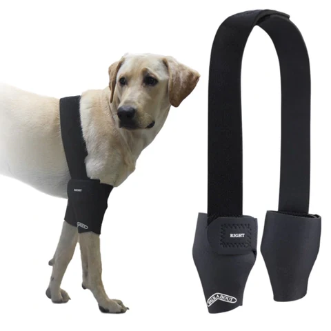 Walkabout, Double Elbow Support Brace Questions & Answers