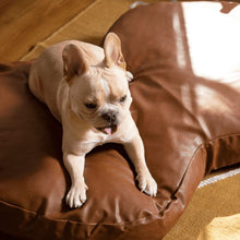 a top view image of a french bulldog laying on top of a brown leather dog bed on the wooden floor