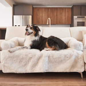a border colie laying on a white couch with white dog couch lounger  on the kitchen 