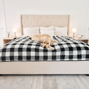 a labrador retriever laying on top of the wooden bed with a black and white checkered pattern dog blanket in a modern room with bedside drawers and lamps