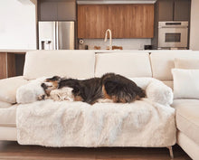 an australian sheppered sleeping on the white couch on a white dog couch lounger in a modern living room and kitchen