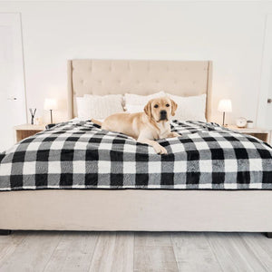 a labrador retriever laying on top of the wooden bed with a black and white checkered pattern dog blanket in a modern room with bedside drawers and lamps