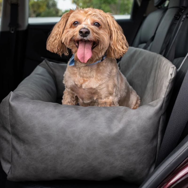 a cute brown happy puppy sitting on a grey car dog bed inside a car with black leather back passenger seat