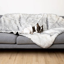 a french bulldog laying on a grey couch with white and grey fluffy dog blanket in a modern living room