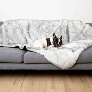 a french bulldog laying on a grey couch laying on a white plush dog bed in a white room with wooden floor