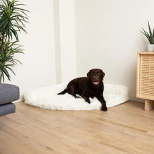 a black labrador siting  on white furry dog bed on the corner of the house in between of a couch and a wooder drawer with plants on them