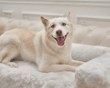 a white husky laying on the cozy couch in a white dog couch lounger in an all white bedroom 