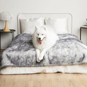 a samoyed laying on a white bed with white and grey fluffy dog blanket in a modern bedroom with bedside table and lamps