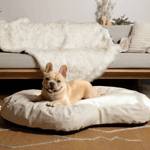 a happy frernh bulldog laying on a cream colored dog bed next to a wooden couch with a dog blanket on it  in a modern room setting 