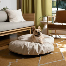 a french bulldog laying on a cream colored dog bed on the floor next to a wooden couch and chair in a modern living room setting