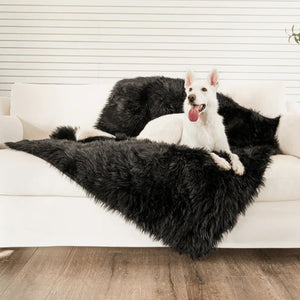 a white dog sticking his tongue out laying on a black furry dog blanket on top of a white couch in an all white living room setting 